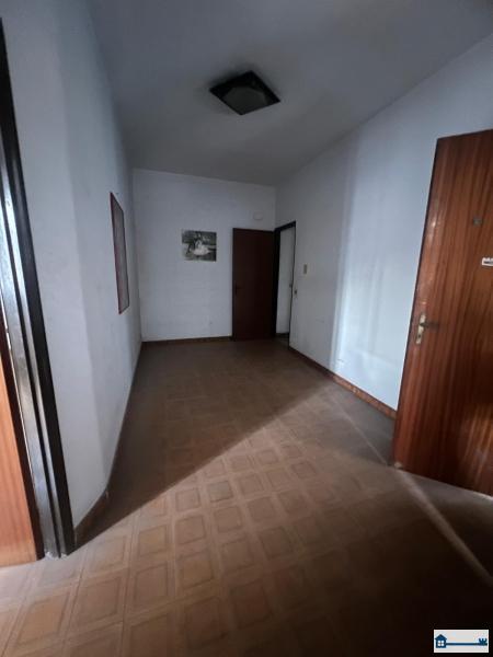 Immagine WhatsApp 2025-09-10 ore 18.10.51_a3c6c878.jpg